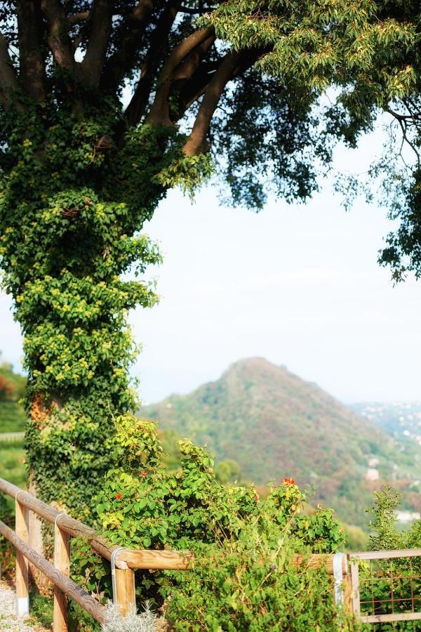Rustico Costa D'Oro Villa Farra di Soligo ภายนอก รูปภาพ