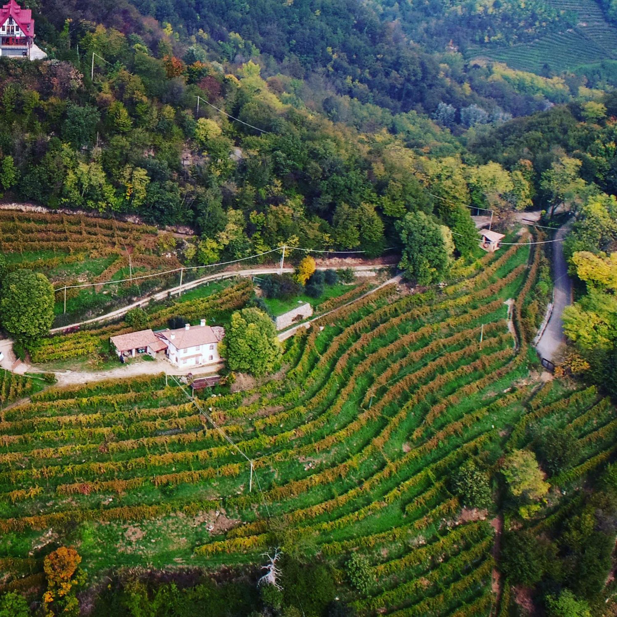 Rustico Costa D'Oro Villa Farra di Soligo ภายนอก รูปภาพ